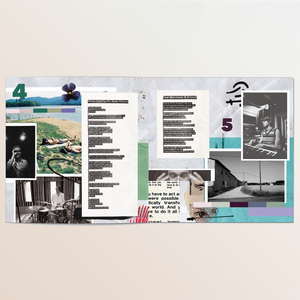 Temps de Flors - LP Vinyl